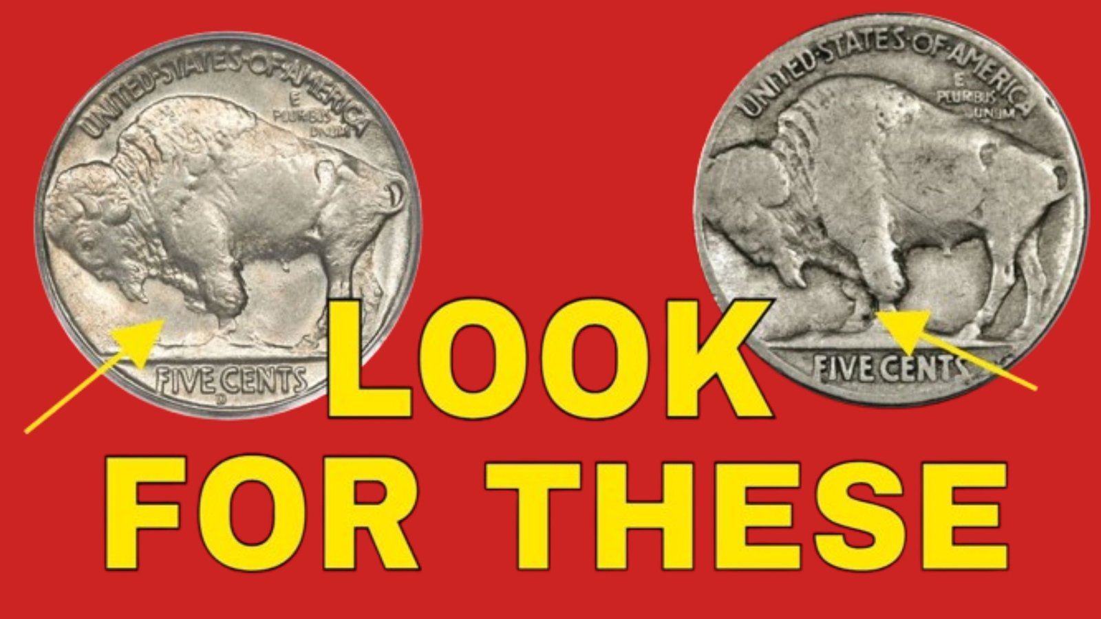 Rare Buffalo Nickel Worth $15.8 Million Discovered – Check Your Change!